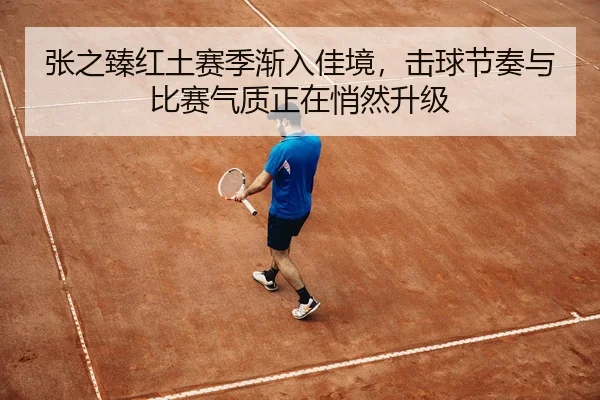 张之臻红土赛季渐入佳境，击球节奏与比赛气质正在悄然升级