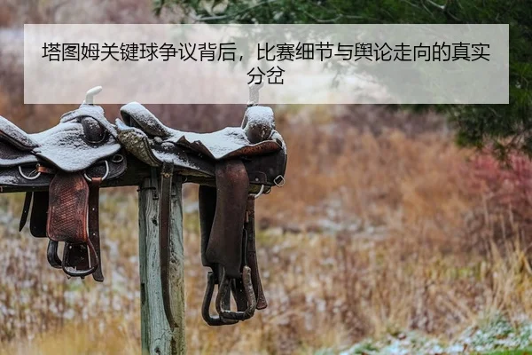 塔图姆关键球争议背后，比赛细节与舆论走向的真实分岔